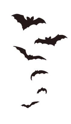 the silhouettes of bats are shown against a white background