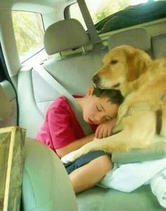 a young child sleeping in the back seat of a car with a large brown dog