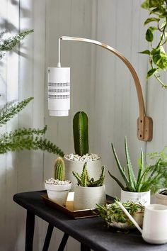 a table topped with potted plants next to a wall mounted planter and lamp