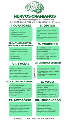 a green poster with the words nevos cranianoos written in spanish