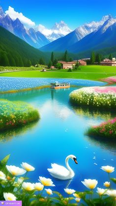 a swan floating on top of a lake surrounded by flowers