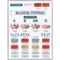 the blood typing poster is displayed on a white background