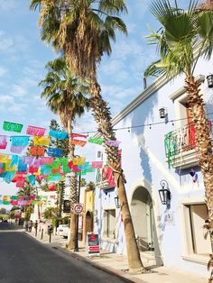 palm trees are lined up on the side of a street with colorful flags hanging from buildings