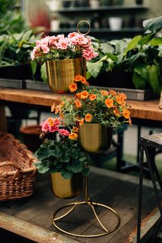 several potted flowers on a table in a greenhouse