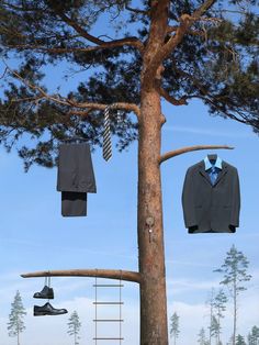 a tree with three suits hanging from it's branches