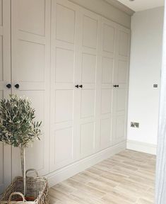 an empty room with white cabinets and a potted plant in the corner next to it