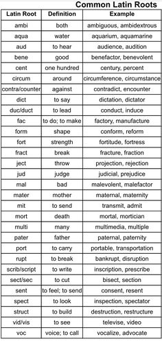 two different types of words that are used to describe the same thing in each language