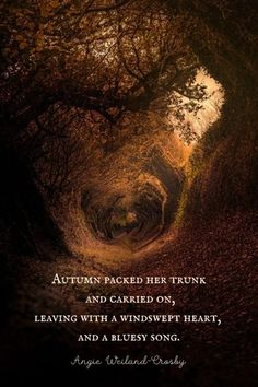 an image of a tunnel in the woods with a quote on it that reads autumn packed her trunk and carried on leaving with a windwept heart