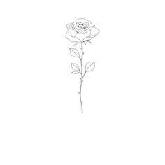 Fineline Rose Tattoo, Rose Tattoo Stencil, Simple Rose Tattoo, Ear Tattoo Ideas, Small Rose Tattoo, Mommy Tattoos, Cute Small Tattoos, Minimalist Tattoos, Classy Tattoos