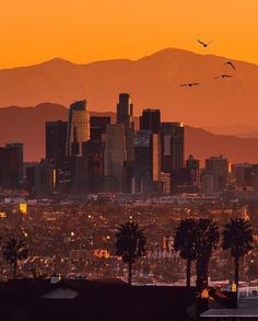 a city skyline with mountains in the background and birds flying over it at sunset or dawn