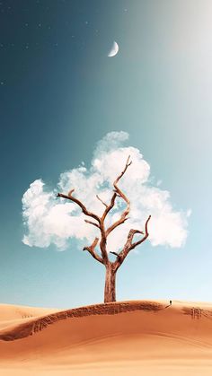 a lone tree in the middle of a desert under a blue sky with moon and stars