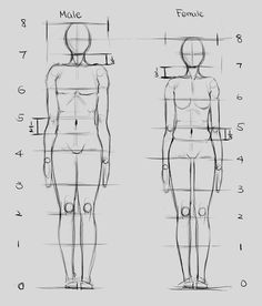 an image of a woman's body with measurements