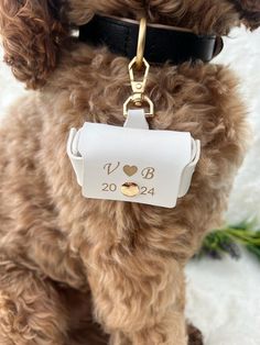 a dog with a name tag attached to it's collar