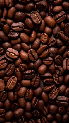 coffee beans are shown in this close up photo