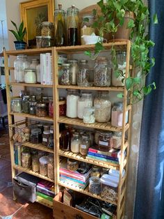 a shelf filled with lots of different types of jars and containers next to a potted plant