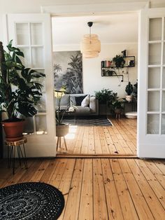 an open door leading to a living room with plants and potted plants on the floor