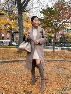 Fall Outfit For Women, Taupe Outfit, Taupe Dress, Taupe Boots