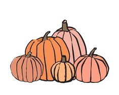 four pumpkins are shown in different colors