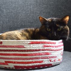 a cat laying in a red, white and blue striped bowl on a gray couch