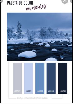 the color palette is blue and has snow on it