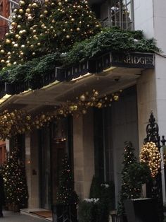 a christmas tree is hanging from the side of a building