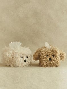 two small poodle dogs sitting next to each other in front of a beige background