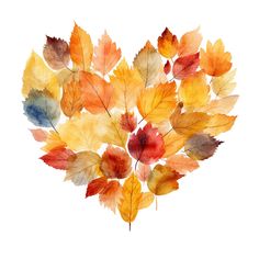 an arrangement of colorful leaves arranged in the shape of a heart on a white background