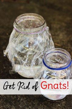 two glass jars sitting on top of a counter next to each other with the words get rid of gnats