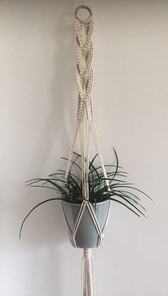 a potted plant hanging from a macrame rope in a white walled room