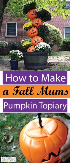 how to make a fall mums pumpkin topiary with text overlay that reads, how to make a fall mums pumpkin topiary