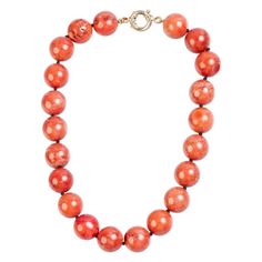 Crushed Coral Coral Necklace, Coral Jewelry, Clothing Stores, Shoes Fashion, Clothes Online, Fashion Clothes, Online Clothing, Clothing Store, Cool Style