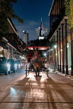 a horse drawn carriage on a city street at night