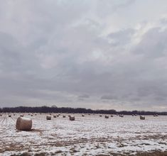 a field full of hay bales covered in snow on a cloudy day with trees in the background