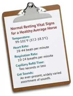 a clipboard with a sign that says normal resting vital signs for a healthy average horse