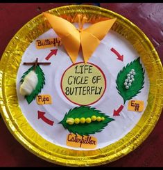 a paper plate that has some type of butterfly on it with the words life cycle