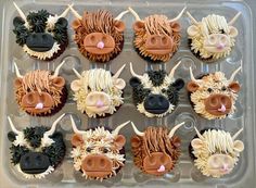 twelve cupcakes decorated to look like cows with horns and flowers in the shape of heads