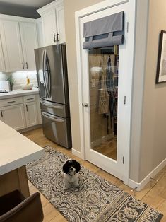 a black and white dog is sitting on the rug in front of an open door