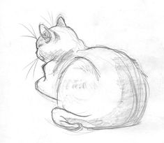 a pencil drawing of a cat laying down