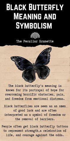 a piece of paper with an image of a butterfly on it and the words black butterfly meaning