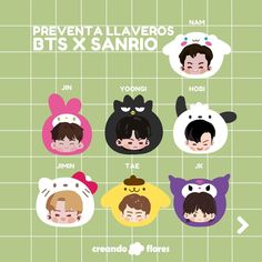 the bts x sanrio face chart