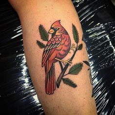 a red bird sitting on top of a tree branch