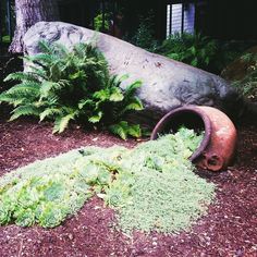 there is a large rock in the middle of this garden with plants growing around it