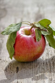 an apple with green leaves on it sitting on a wooden table next to a leafy branch