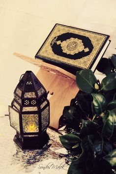 a lantern sitting on top of a table next to a potted plant and a book