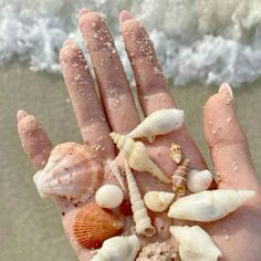 a person's hand with shells and sand on the beach