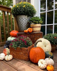 pumpkins and gourds are sitting on the porch