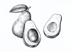 an avocado is shown in this black and white drawing, with leaves on the top