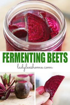 beets in a jar with text overlay that says fermenting bees ladybleshome com