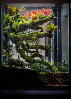 an aquarium filled with lots of plants and trees in the middle of it's tank