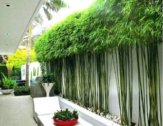 an outdoor living area with plants on the wall